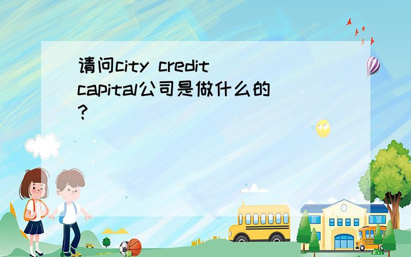 请问city credit capital公司是做什么的?
