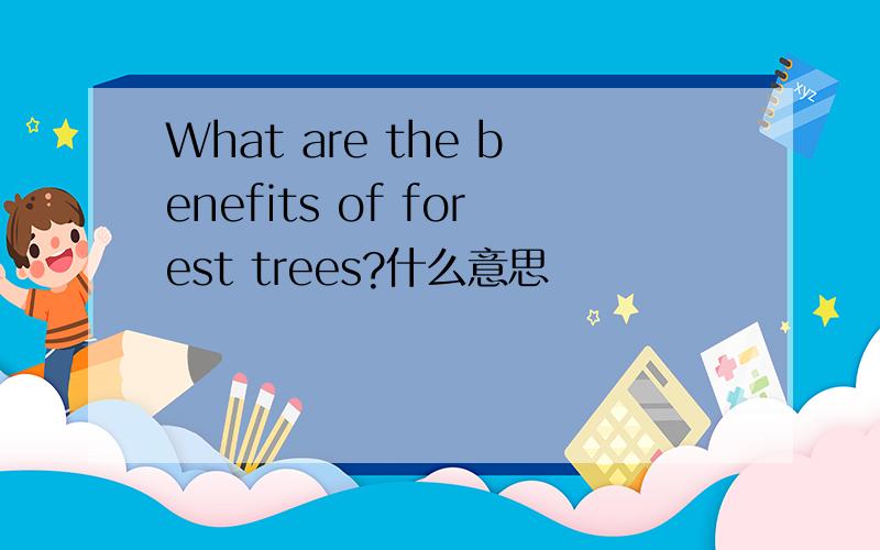 What are the benefits of forest trees?什么意思