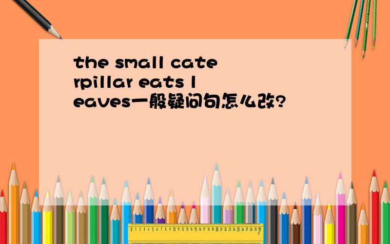 the small caterpillar eats leaves一般疑问句怎么改?