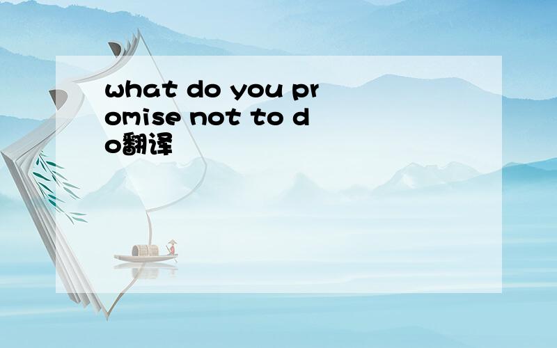 what do you promise not to do翻译