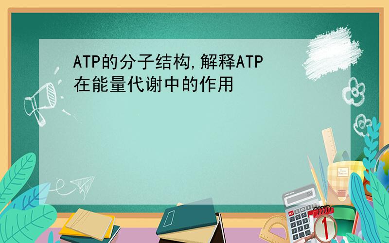 ATP的分子结构,解释ATP在能量代谢中的作用